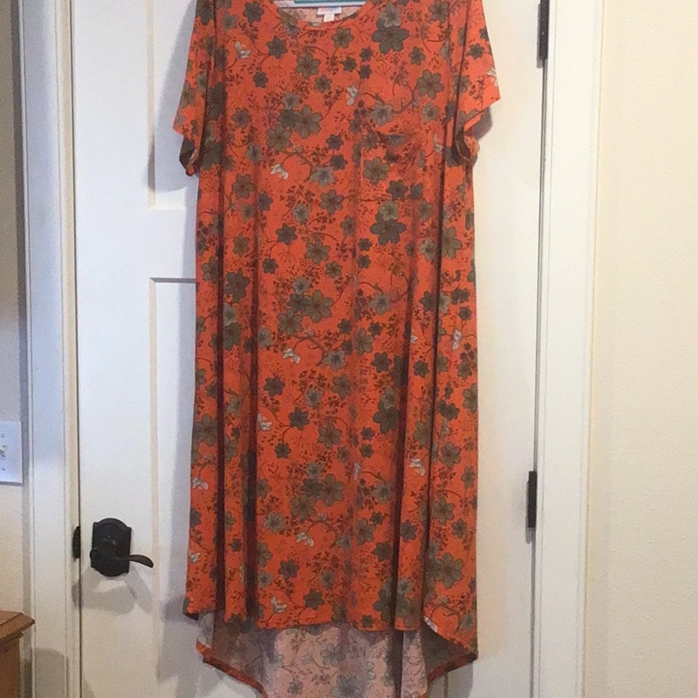 This Dress is a Carly from LulaRoe!  Beautiful orange color!  New